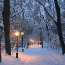 ❄Icey Park❄