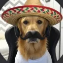 los retardaditos