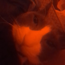 Chillin Discord server icon