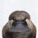 Dziupla Dziobaka