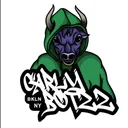carlybotzz's server