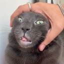 hxsain’s server Discord server icon