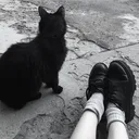 pawsily