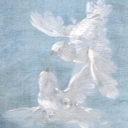 𝖤𝗍𝖾𝗋𝗇𝖺𝗅 Discord server icon