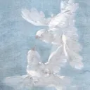 𝖤𝗍𝖾𝗋𝗇𝖺𝗅