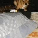 proton cinematic universe