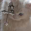 Based & Blessed (Saintcraft) Discord server icon