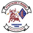 3rd Battalion, 1st Marines Discord Server Icon