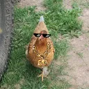 Corgiguy2022's YT Server! :)