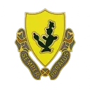 2nd Battalion, 12th Cavalry Regiments