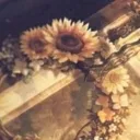 /litebox 《○ ○ ○》