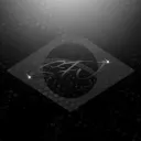 Safenji | FiveM 🇧🇷