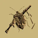 bug&lew corp