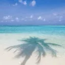 Yume Isles