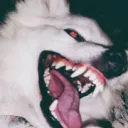 RABID !!