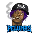 GPB x PELUMAS