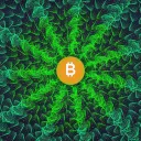 Seal of 100K