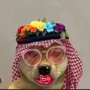 Habibilli - Friends - • Voice Chat • India • chill • Active