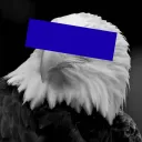 Blue Eagle Politics