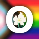 Orchid (Archive)