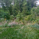 Solarpunk Sustainability Discord server icon