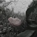 ๑ ۪   ݁  ⁄ϻorute   ❀  ݁