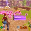 STW_enjoyers_