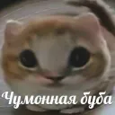 МегоНайт
