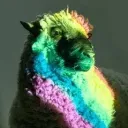The Flock