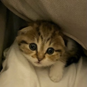 HQ Discord server icon