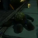 Amelia's Cult grounds