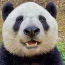 BoredPandaYT Cavern