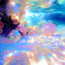 ━━━━⊱🌊𝙏𝙝𝙚 𝙍𝙚𝙚𝙛🐬⊰━━━━