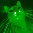 ZIP. PLACE 👾 #300's icon