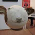 _catshark's server