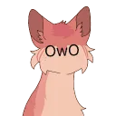 𝐂𝐑𝐀𝐙𝐘 𝐅𝐔𝐍