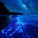 Starry Ocean