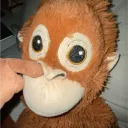 pique