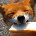 Fox Guild