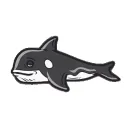 Acro The Orca