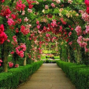 ❁˖ 𝄞⨾𓍢ִ໋  .☘ ܁˖ᥫ᭡ Sleepy flowers 🪷. ₊ ⊹ . ₊˖ . ₊ Discord server icon