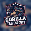 Gorilla Tag ESPORTS Discord Server Icon