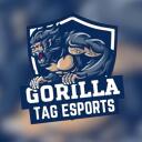 Gorilla Tag ESPORTS Discord Server Icon