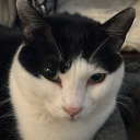 ⸜❤⸝ 애증 ⸜❤⸝