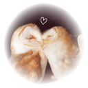 The nest critters ｡ Discord server icon