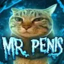 Mr Penis Community