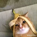 Servidor de bate papo para todos