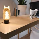 The Catlamp hangout