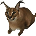 🎃 floppa server 🎃