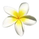 ཾ  . 　 　 ˚ 　   ݂۫ 𓈒   𓏼ིྀ 𝕛2ℓ = ხᥲᥒ      𓈒𓈒